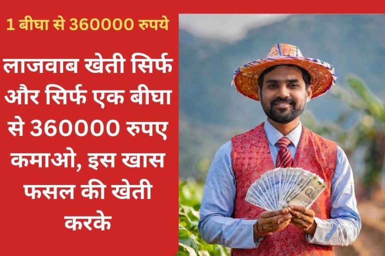 Amazing farming Earn 360000 rupees from just one bigha, by cultivating this special crop.