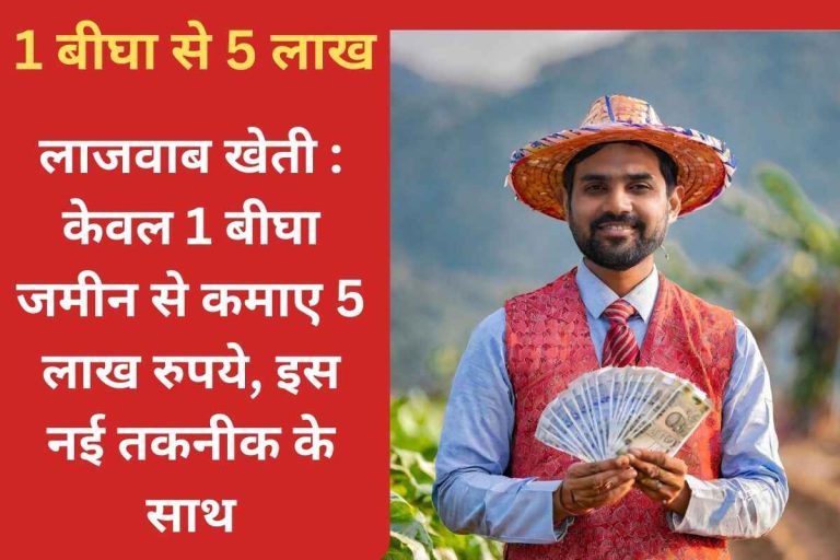 Amazing farming Earn Rs 5 lakh from only 1 bigha land