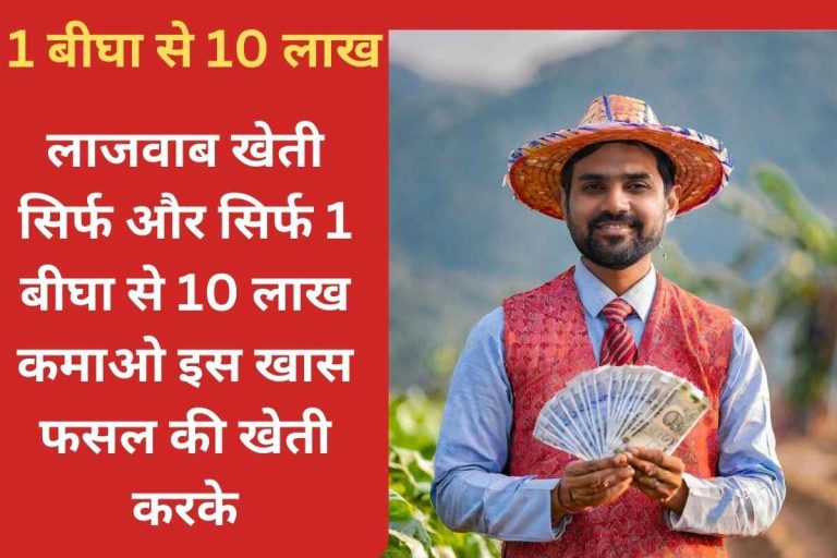 Amazing farming, earn 10 lakhs from 1 bigha only by cultivating this special crop.