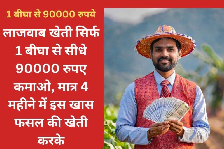 Earn Rs 90000 directly from 1 Bigha by cultivating this special crop in just 4 months