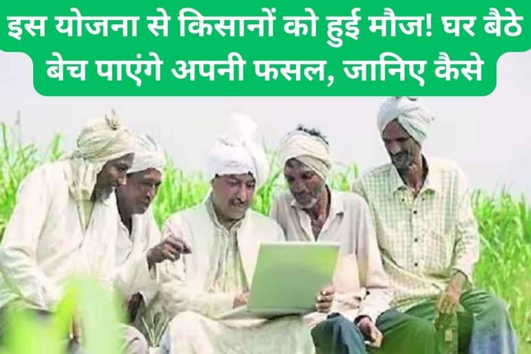 Farmers had fun! You will be able to sell your crops sitting at home, know how